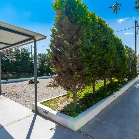 Play On The אדאמאס